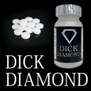 【半額セール中!】DICK DIAMOND (ディックダイヤモンド)