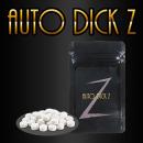 AUTO DICK-Z (オートディックZ)